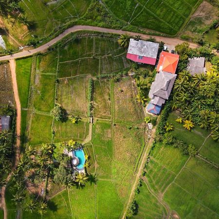 Nelu Villa Sigiriya Esterno foto