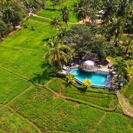 Nelu Villa Sigiriya Esterno foto