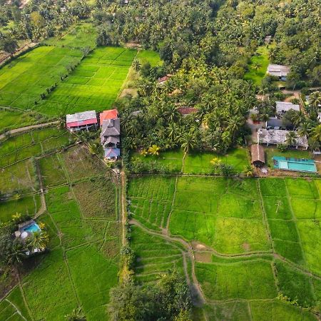 Nelu Villa Sigiriya Esterno foto