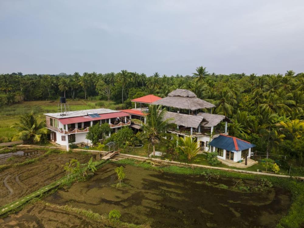 Nelu Villa Sigiriya Esterno foto