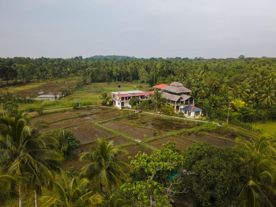 Nelu Villa Sigiriya Esterno foto