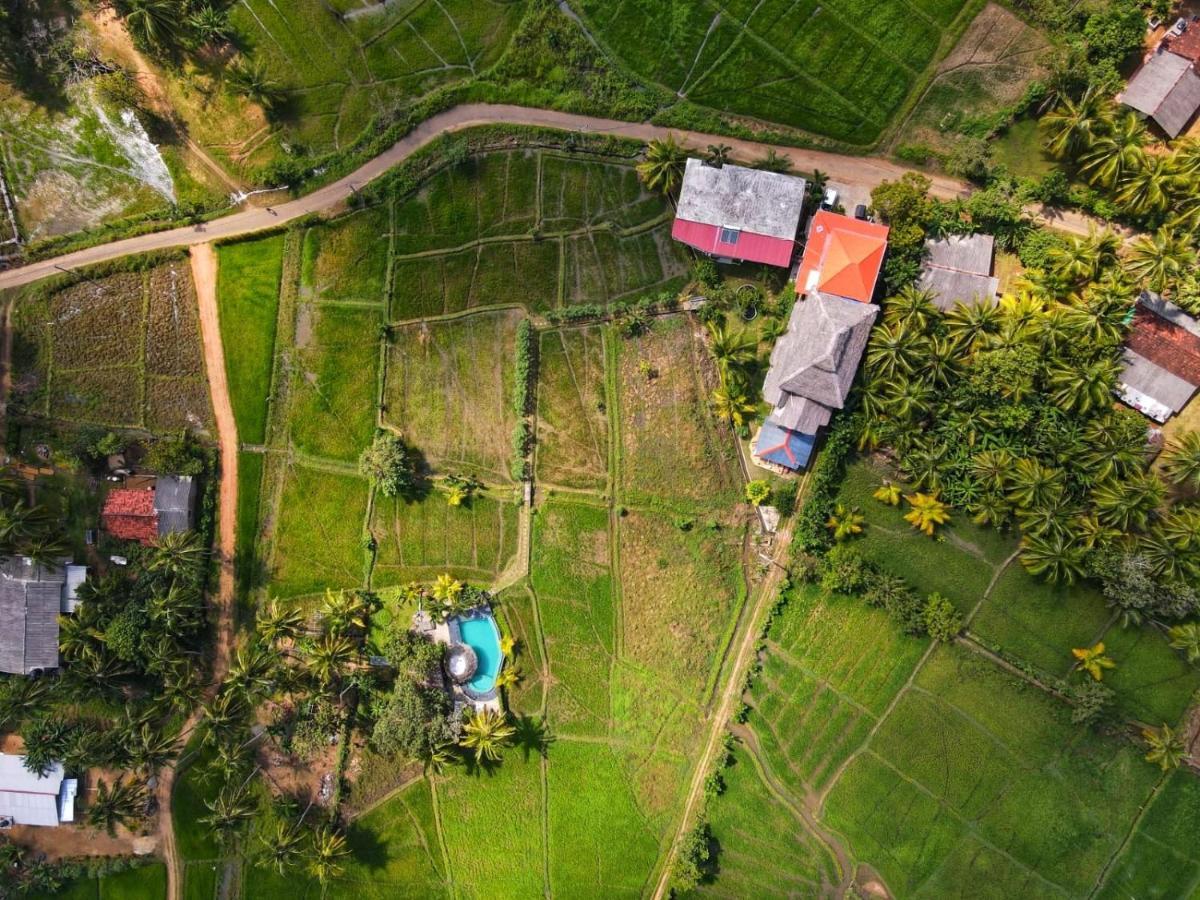 Nelu Villa Sigiriya Esterno foto