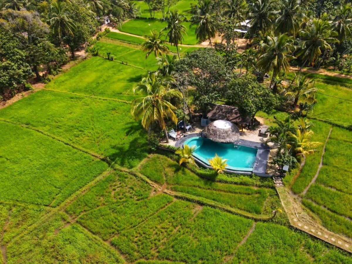 Nelu Villa Sigiriya Esterno foto