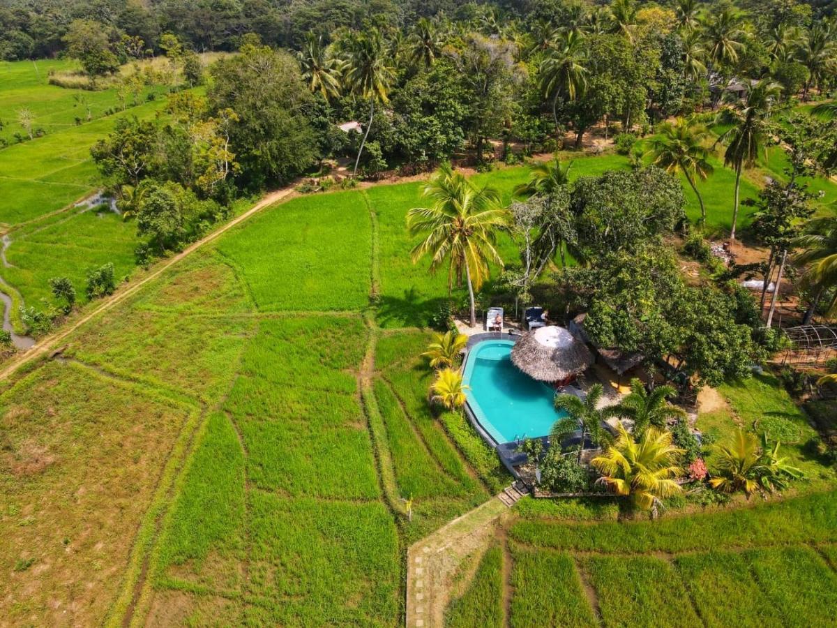 Nelu Villa Sigiriya Esterno foto