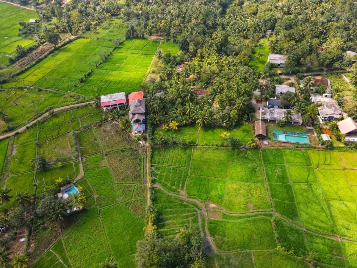 Nelu Villa Sigiriya Esterno foto