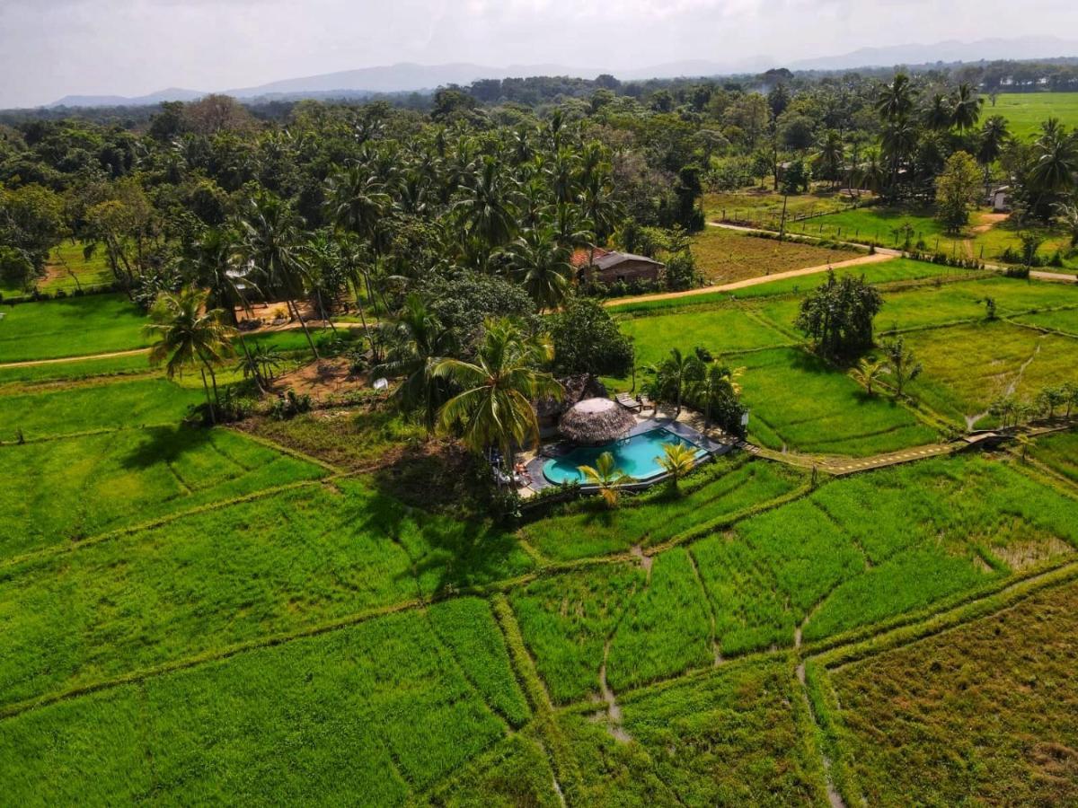 Nelu Villa Sigiriya Esterno foto