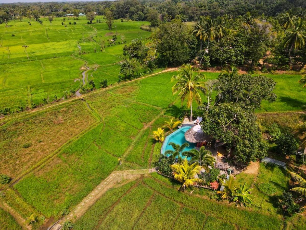 Nelu Villa Sigiriya Esterno foto