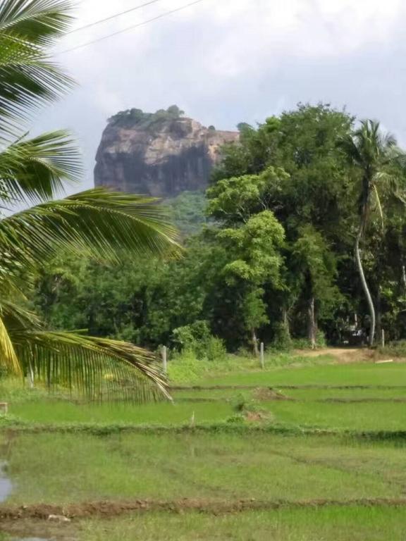 Nelu Villa Sigiriya Esterno foto