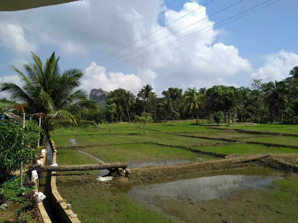 Nelu Villa Sigiriya Esterno foto