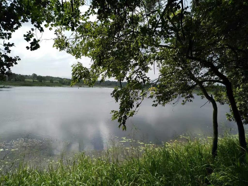 Nelu Villa Sigiriya Esterno foto