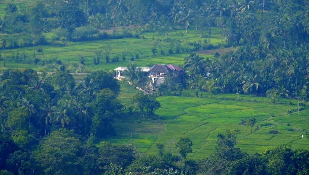 Nelu Villa Sigiriya Esterno foto