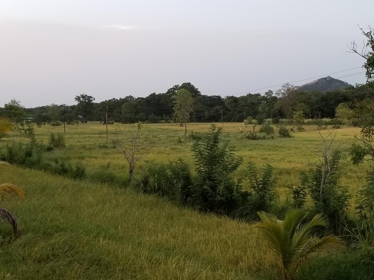 Nelu Villa Sigiriya Esterno foto