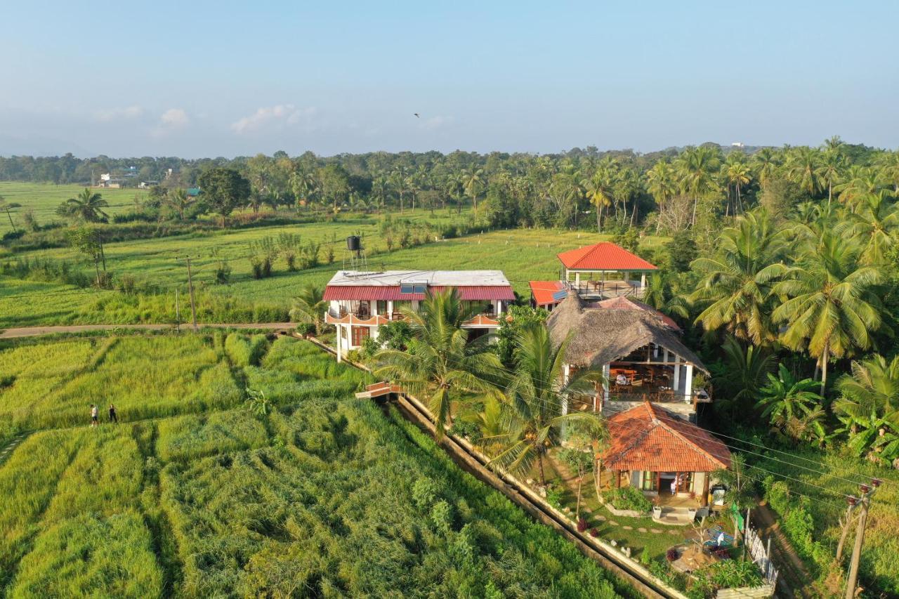 Nelu Villa Sigiriya Esterno foto